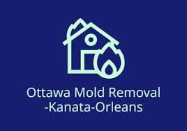 Ottawa Mold Removal