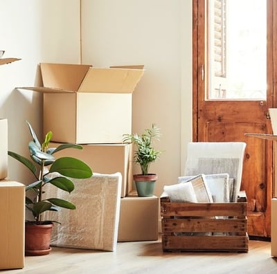 a room with boxes of boxes and boxes of boxes