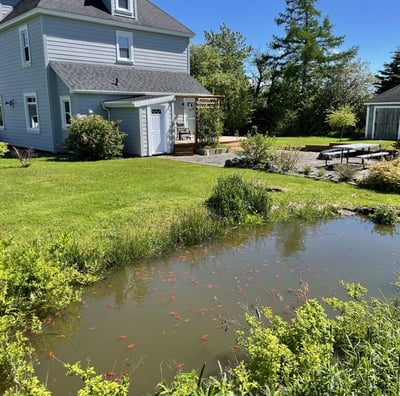 Balmor Landing Best Cape Breton Airbnb with large garden/fish pond, beautiful home, sleeps 8 people