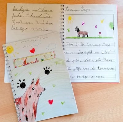 Themenarbeit "Hund" an der Freien Aktiven Schule Wülfrath