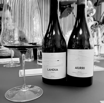 Cata de vino en Sevilla 4