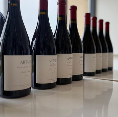 Cata de vino en Sevilla 6
