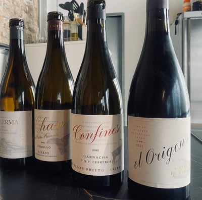 Cata de vino en Sevilla 3