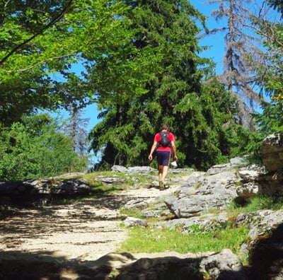 Randonnées massif des Alpes