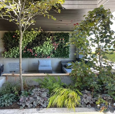 Andy Albright's living wall design