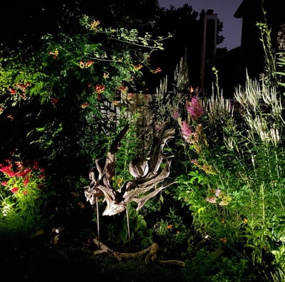 Andy Albright's garden design at night