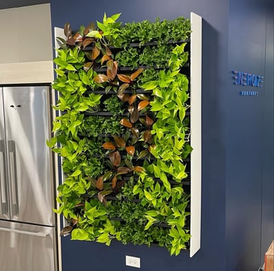 A small living wall designed by Andy Albright