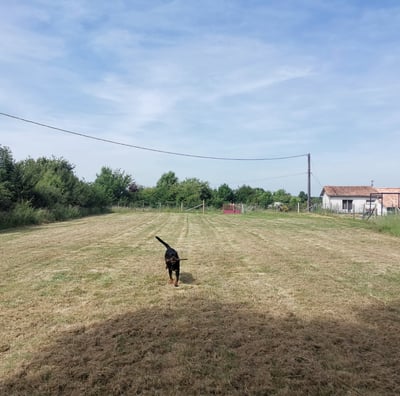 centre canin