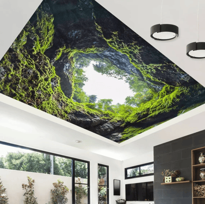 Spanndecke mit Natur-Motiv im Wohnzimmer