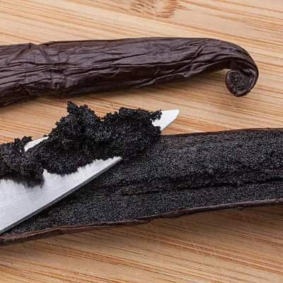 Indonesian vanilla beans