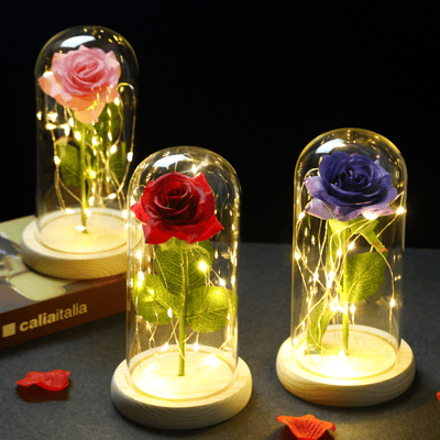 Roses éternelles sous cloche