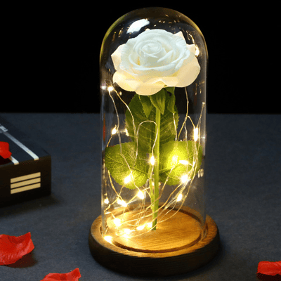 Rose éternelle blanche sous cloche avec lumière