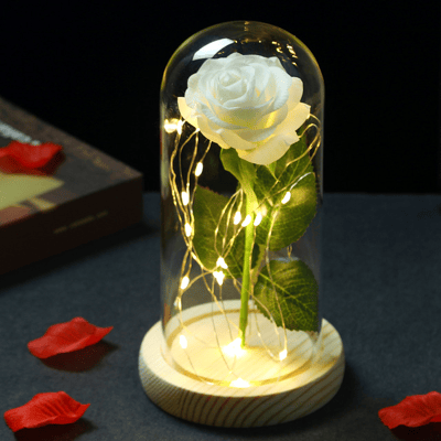 Rose blanche sous cloche