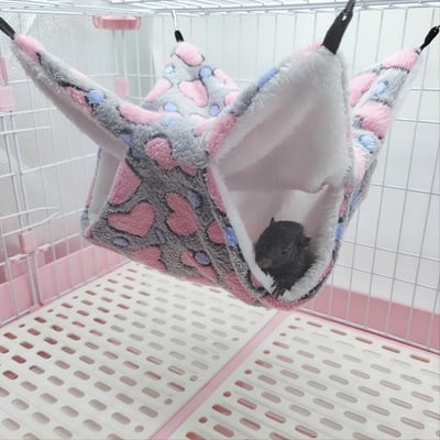 a hamster in a hamster cage with a mouse on it