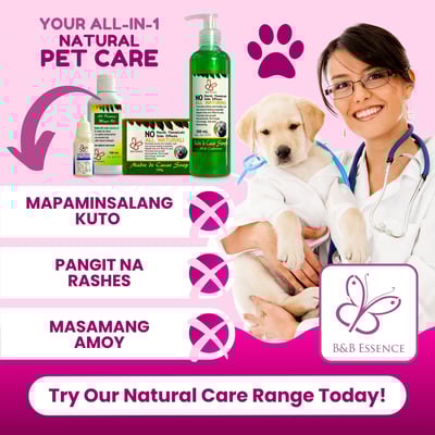 a woman in a white lab coat holding a dog