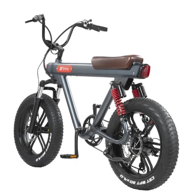 DYU V8 750W