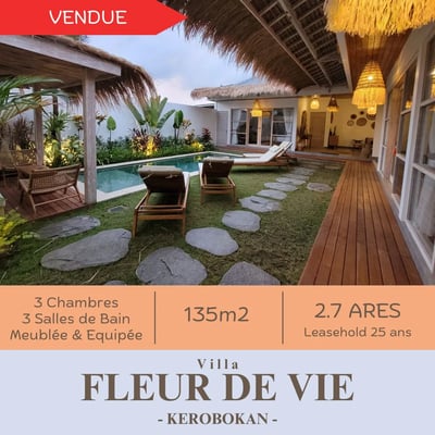 Construction de villas à Bali. Villa Fleur de Vie