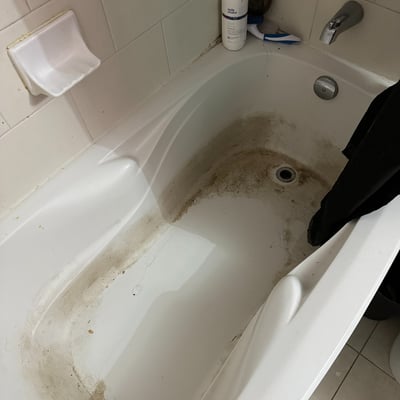 Professional house cleaning GTA