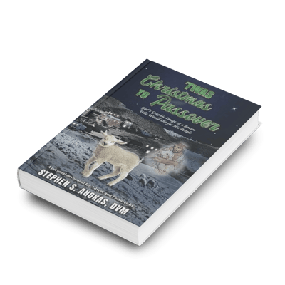 "Twas Christmas to Passover Book showing front covers sample.