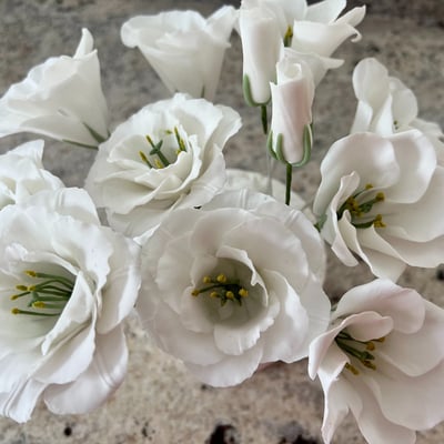 Sugar Flowers For Cakes