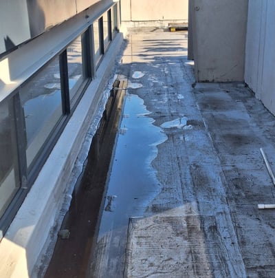 Standing water on flat roof due to poor drainage