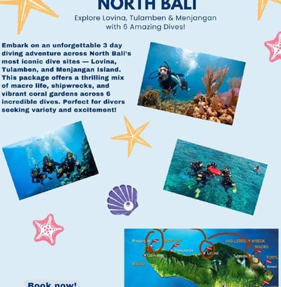 a flyer for a scuba school in the north bali , offering safari dive with free accommodation