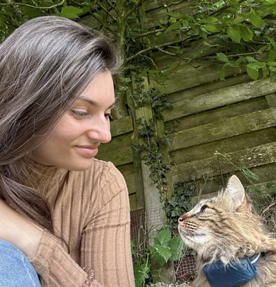 Chat