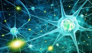 neurological neuro treatment Unani clinic near Kalaburagi, Karnataka, Dr Hidayath khan