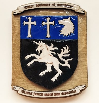 Engraved laser medieval magnets 3D