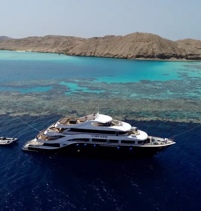 Axis Dive Hot Deals All Star Scuba Scene