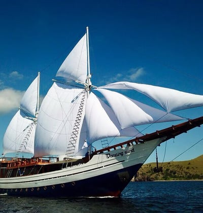 Axis Dive Hot Deals Sunshine Liveaboard