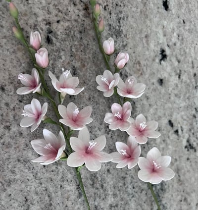 Freesia Sugar Flowers For Cakes