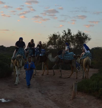 CAMEL RIDE IN AGADIR BY DAR SOUSS LOISIR