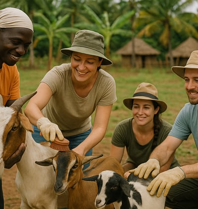 Partir en volontariat international à la Ferme Aménopé Togo Permaculture