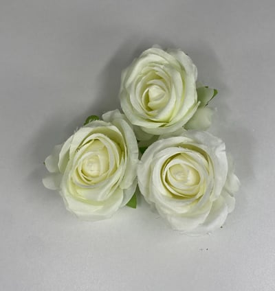 NR cake design