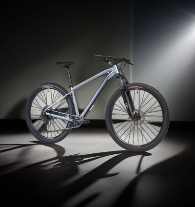 le vélo polyvalent à prendre en vacances 