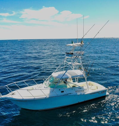 Cabo express 35 sport fishing yacht 