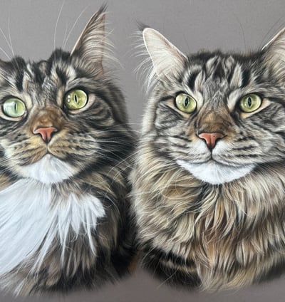 Pet portrait commission