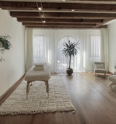 a spacious massage studio with a massage table and a plant