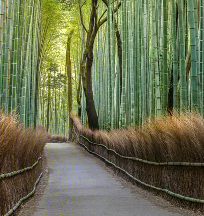 Der Weg