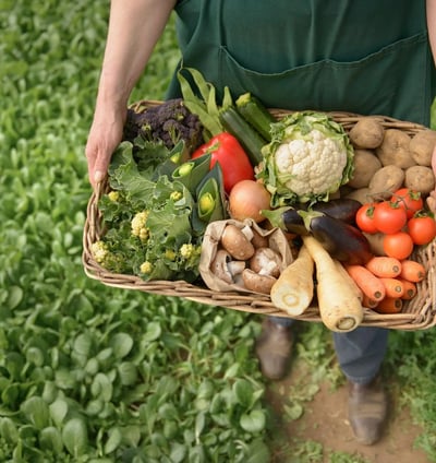 Alimentos limpos