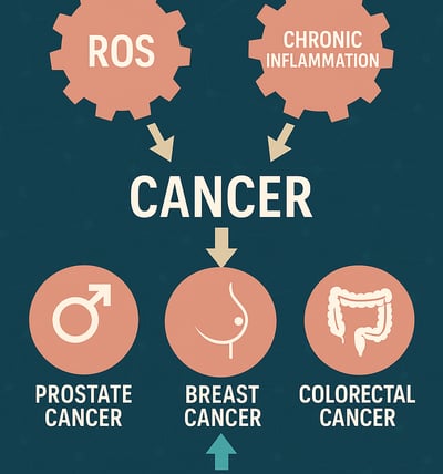 Protection from cancer - annatto tocotrienol and geranylgeraniol