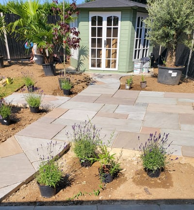 Lavenders, olive trees and palms from the urban jungle