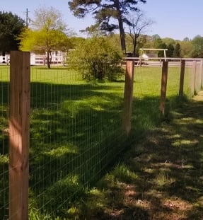farm fence, chicken wire fence, fence, wood fence
