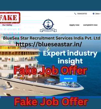 Blueseastar job offer