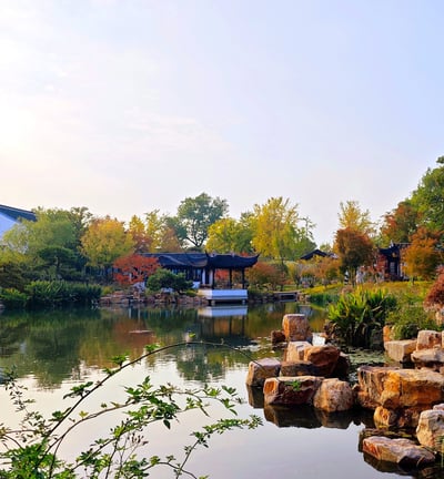 Rocks and greenery reflected in pond