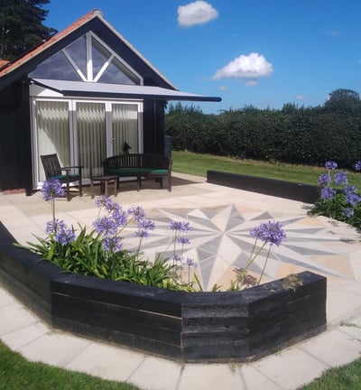 Agapanthus in bloom after garden build
