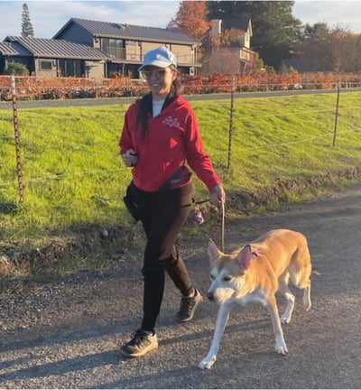 Doggy Daycare in wine country. Napa Valley walk