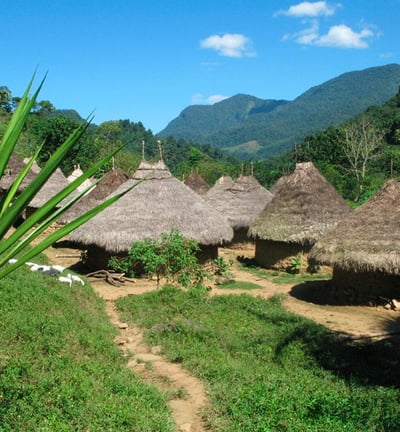 Pueblos nativos culturas ancestrales