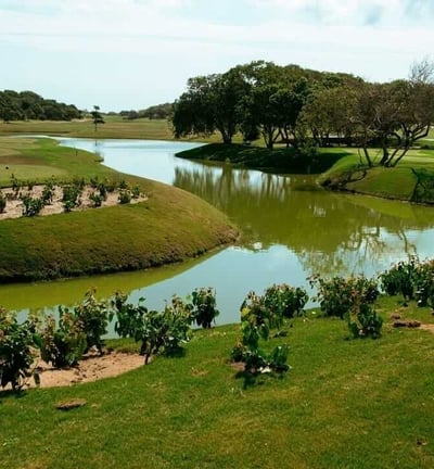 Golfe Clube Aretê Búzios